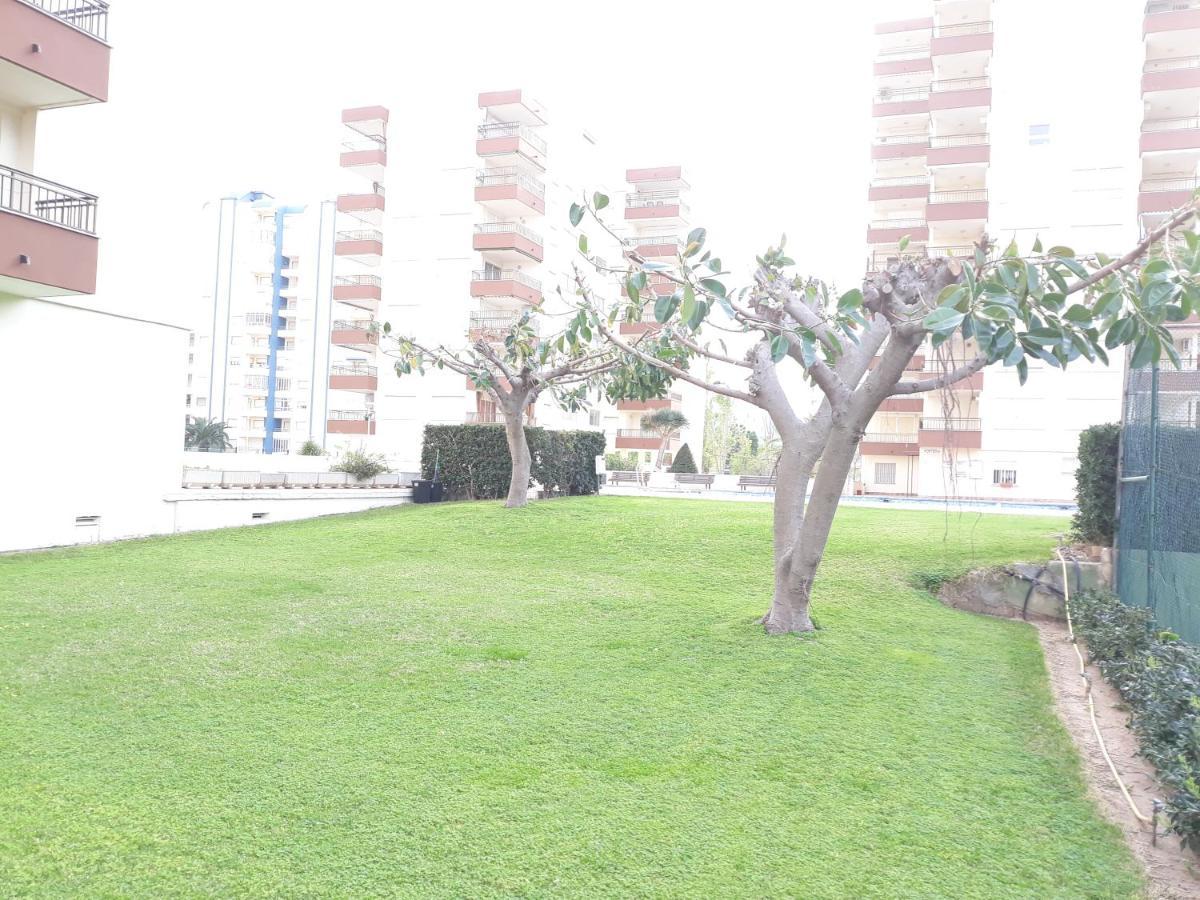 Valldigna 7 Playa De Gandia Solo Familias Exterior foto
