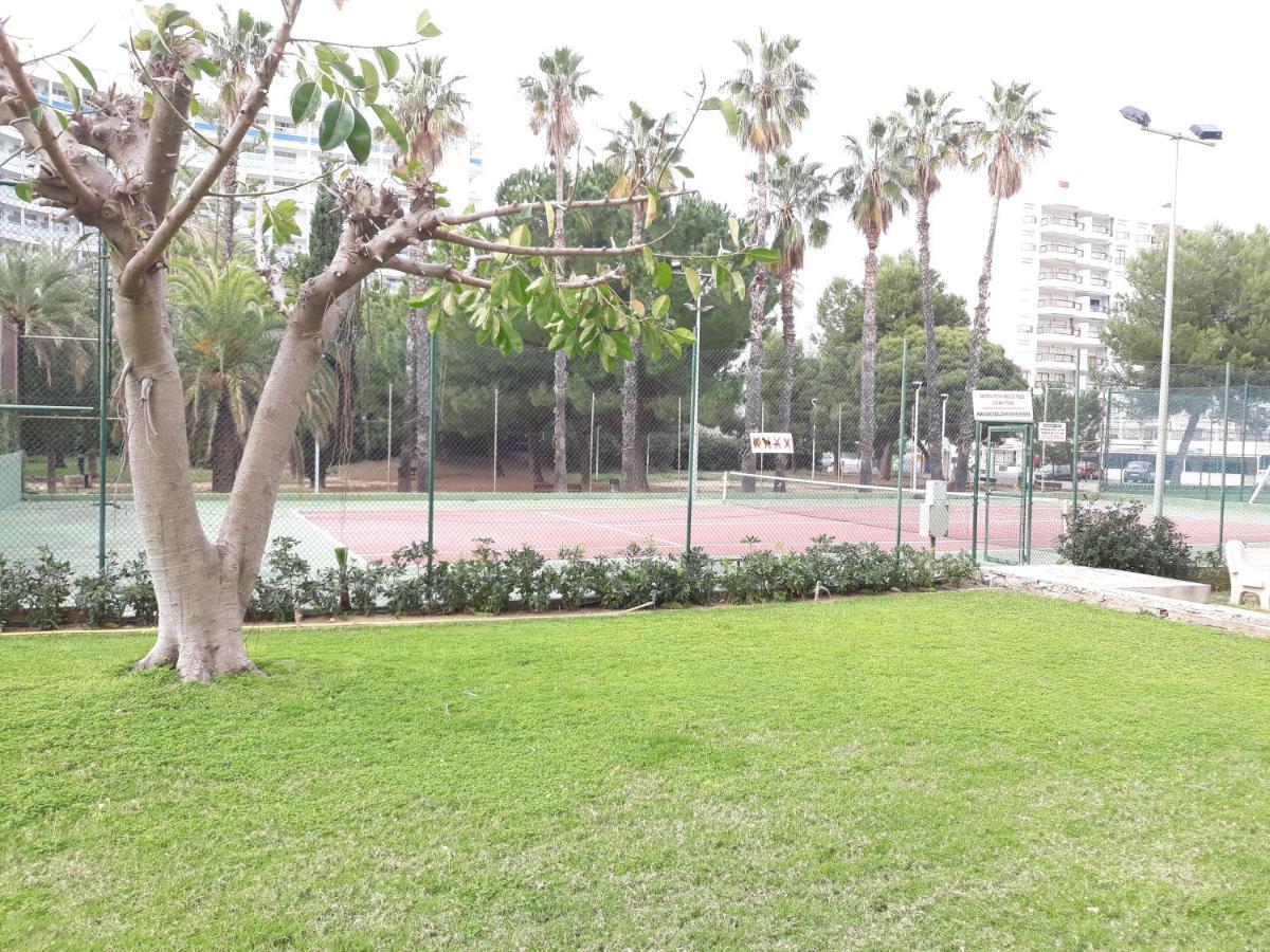 Valldigna 7 Playa De Gandia Solo Familias Exterior foto